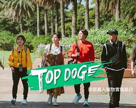 黑暗爆料网《TOP DOG》免费在线观看